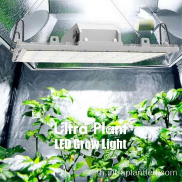 UV LED Grow Light 150W หลอดไฟเติบโต